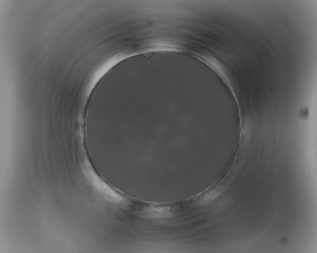 X0000112531243200908311415