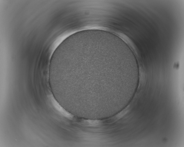 X0000112531244200908311415
