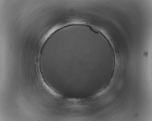 X0000112531245200908311415