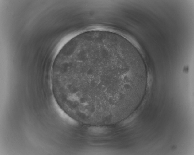 X0000112531247200908311415