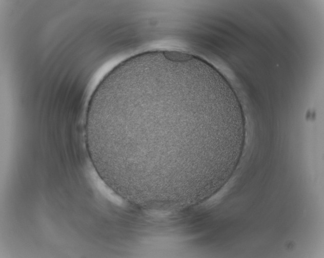 X0000112531248200908311415