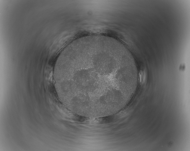 X0000112531251200908311414