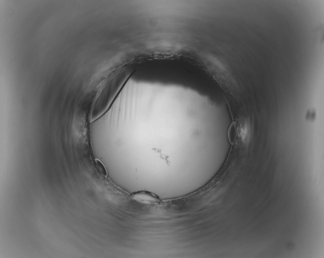 X0000112531252200908311414
