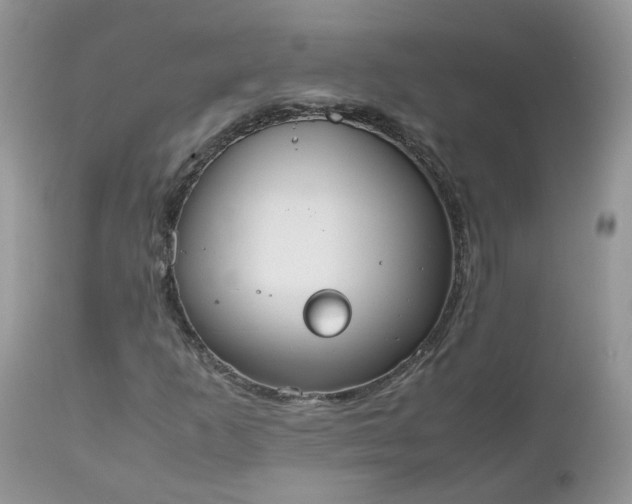 X0000112531253200908311414