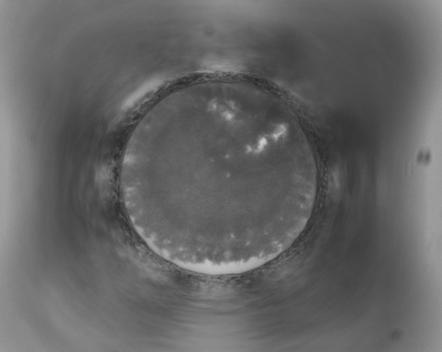 X0000112531254200908311414