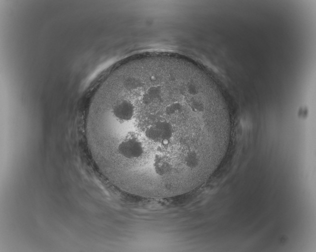 X0000112531255200908311414