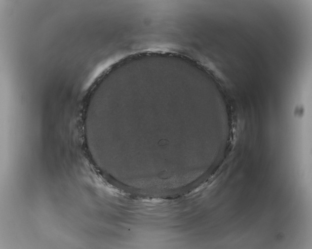 X0000112531256200908311414