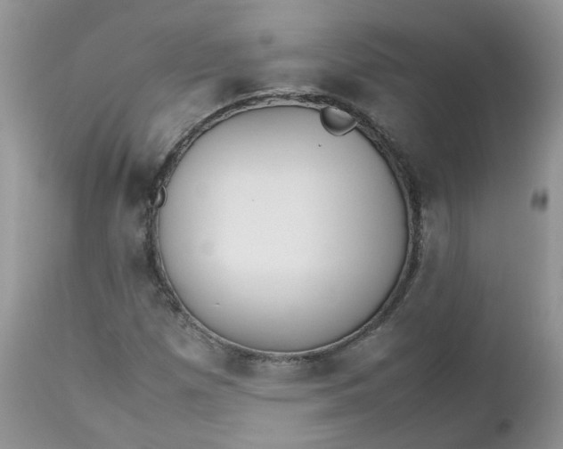 X0000112531257200908311414