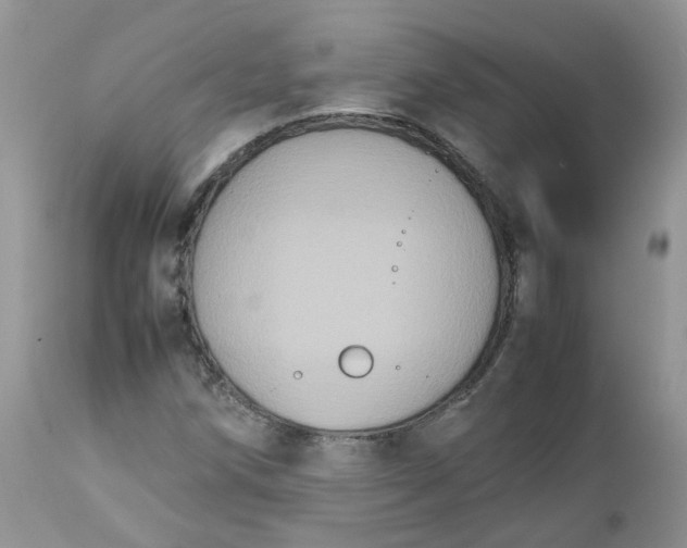 X0000112531258200908311414