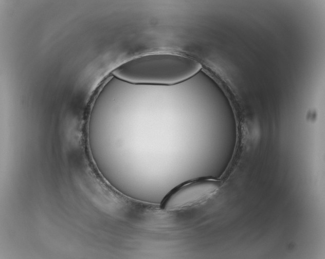 X0000112531260200908311414