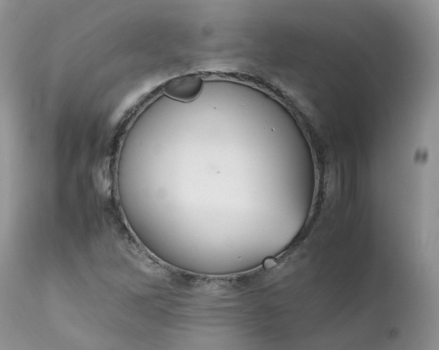 X0000112531262200908311414