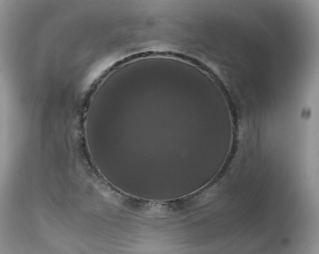 X0000112531263200908311414
