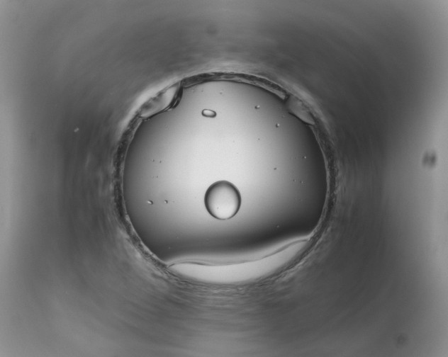 X0000112531264200908311414