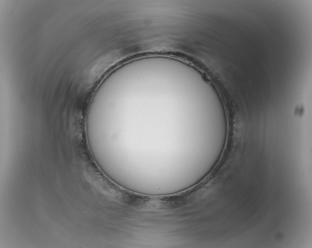 X0000112531265200908311414