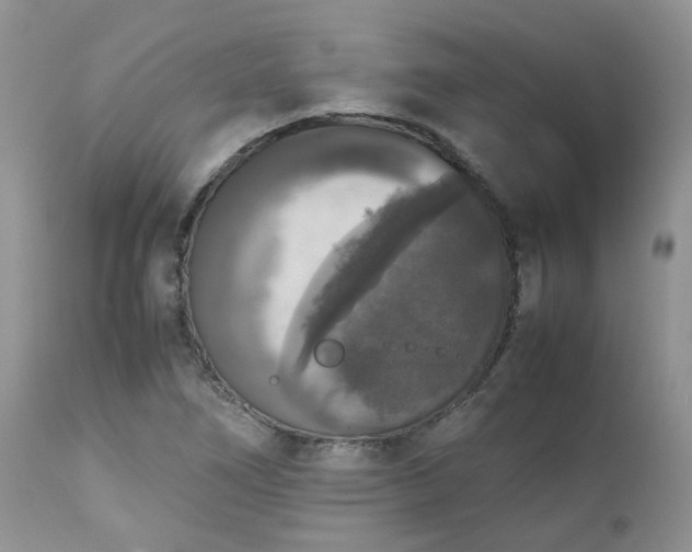 X0000112531266200908311414