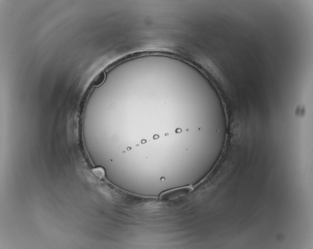 X0000112531268200908311414