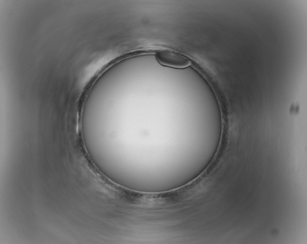 X0000112531269200908311414
