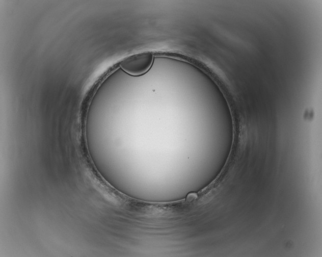 X0000112531270200908311414