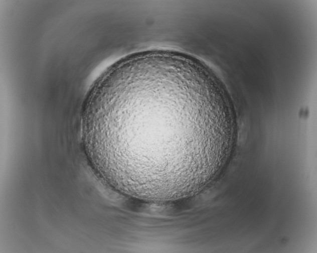 X0000112531271200908311414