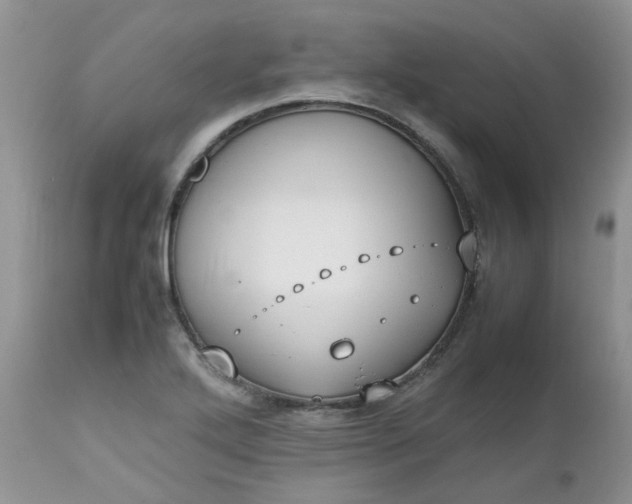 X0000112531272200908311414