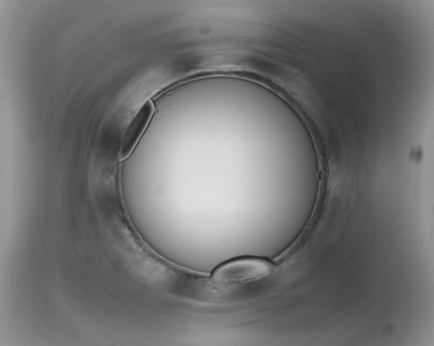 X0000112531273200908311414
