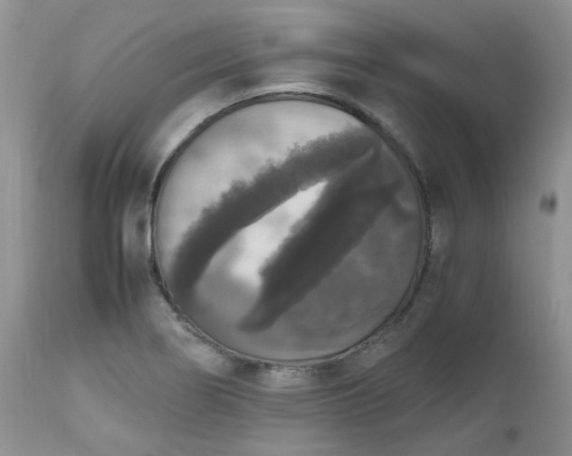 X0000112531274200908311414