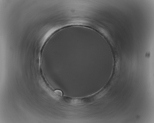 X0000112531275200908311414