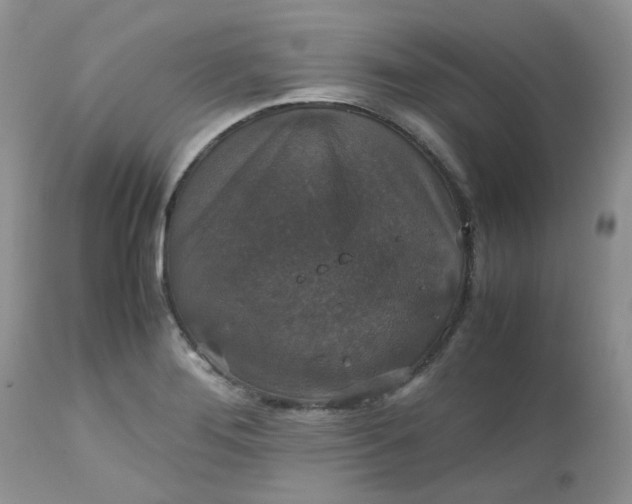 X0000112531276200908311414