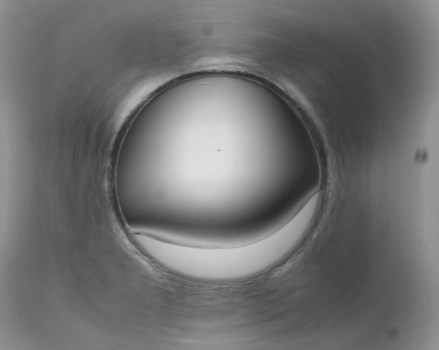 X0000112531277200908311414