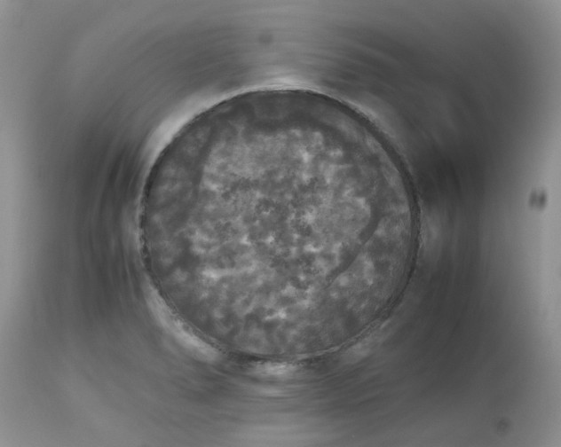 X0000112531278200908311414
