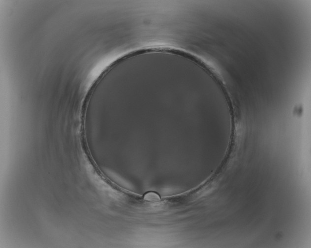 X0000112531279200908311414