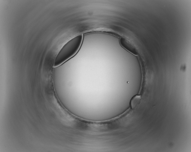 X0000112531281200908311414