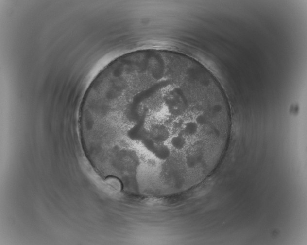 X0000112531283200908311414