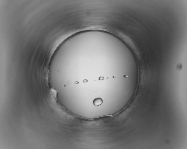 X0000112531284200908311414