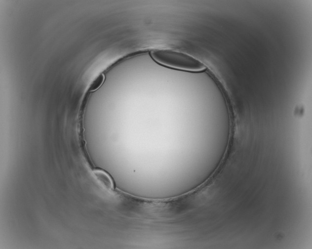 X0000112531285200908311414