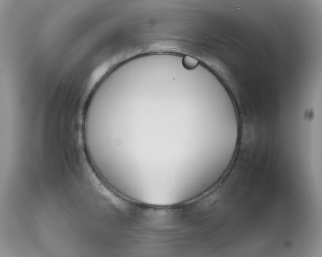 X0000112531286200908311414