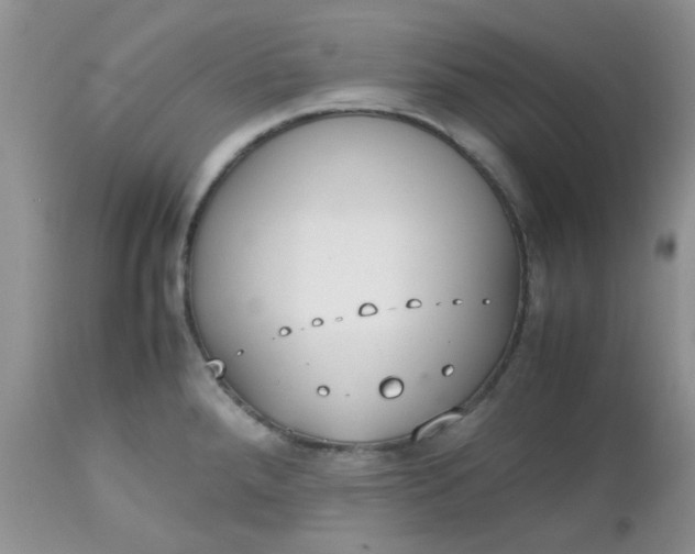 X0000112531288200908311414