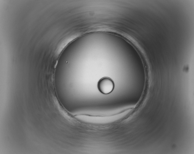X0000112531289200908311414