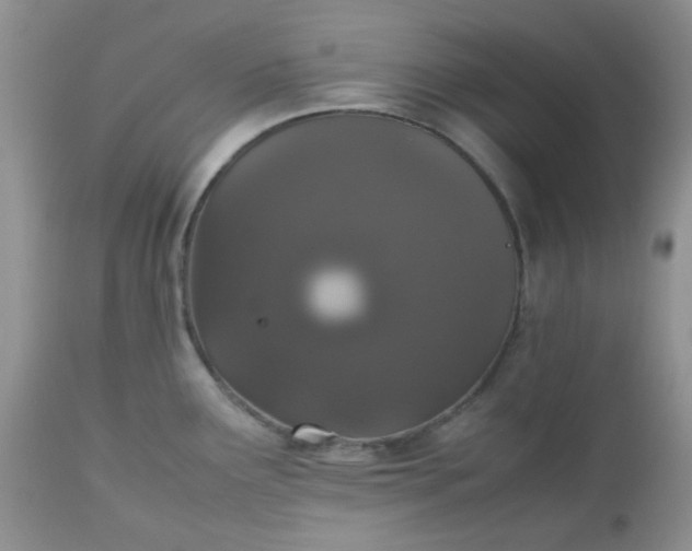 X0000112531291200908311414