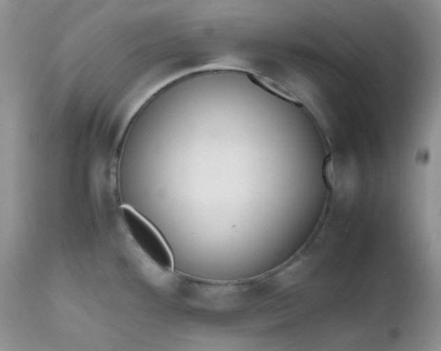 X0000112531292200908311414