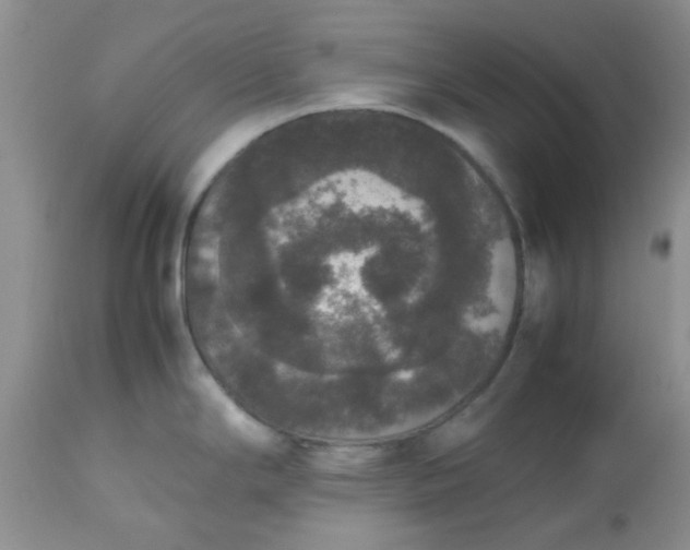 X0000112531294200908311413