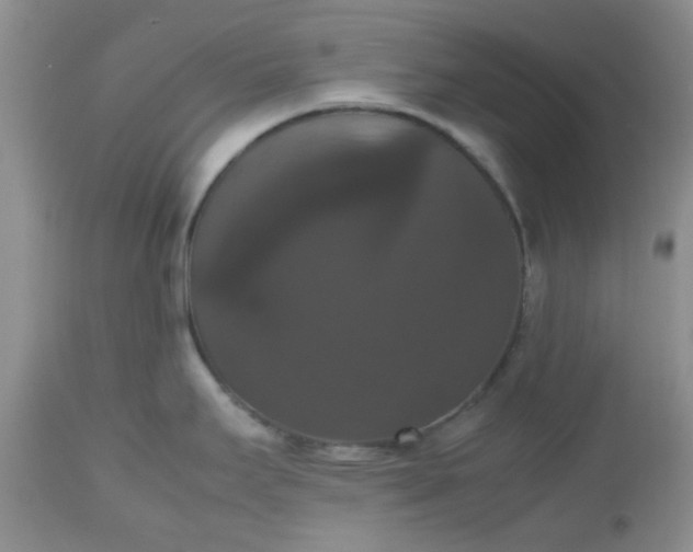 X0000112531295200908311413