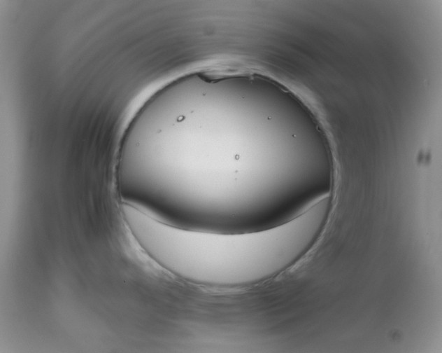 X0000112531296200908311413