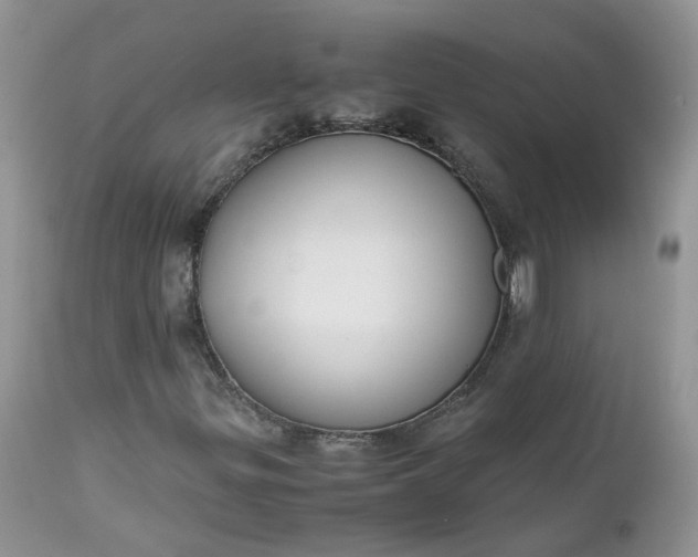 X0000112531299200908311413