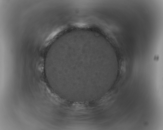 X0000112531301200908311413