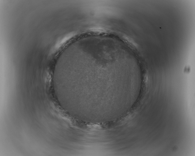 X0000112531302200908311413