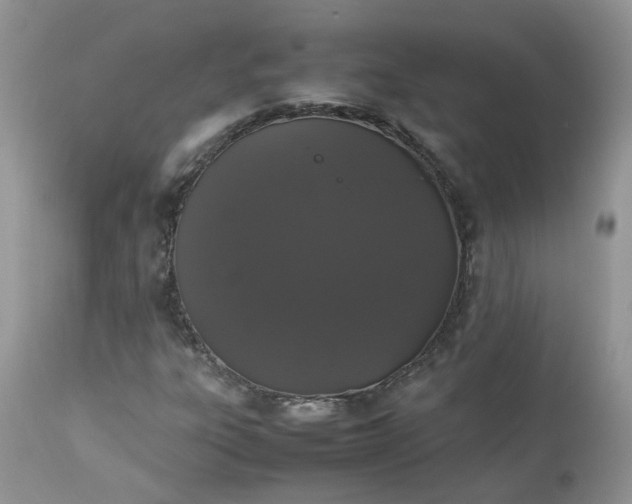 X0000112531303200908311413
