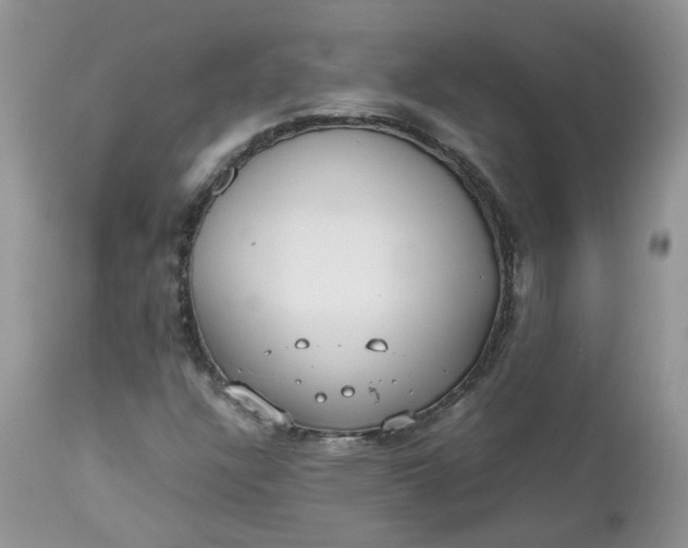 X0000112531304200908311413