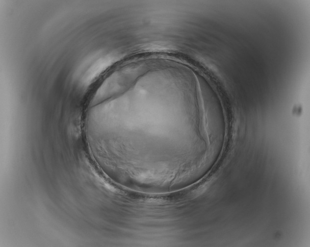 X0000112531306200908311413