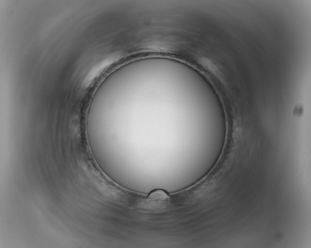 X0000112531307200908311413